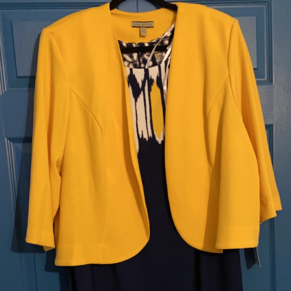 Lane Bryant Dress